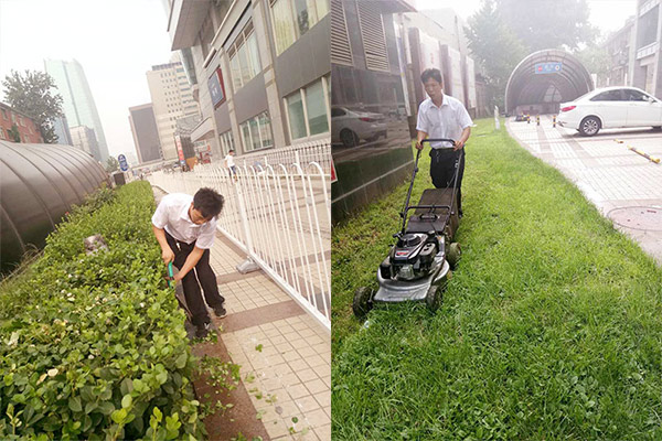 綠植護(hù)理